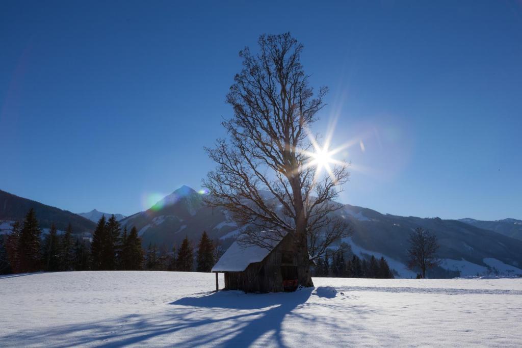 Appartements Hochegg Schladming Zewnętrze zdjęcie